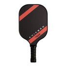 Pala Pickleball Softjim Chicago 2